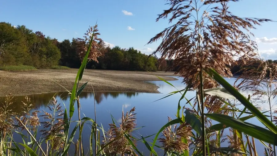 Grand Etang de la Jemaye