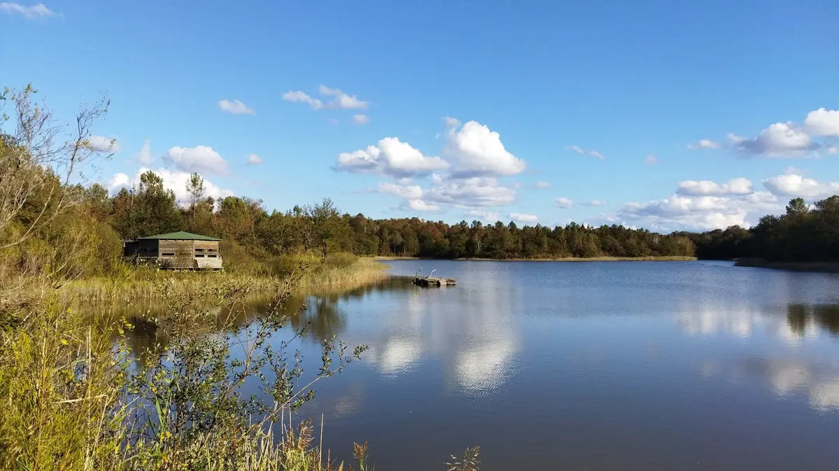 Grand Etang de la Jemaye