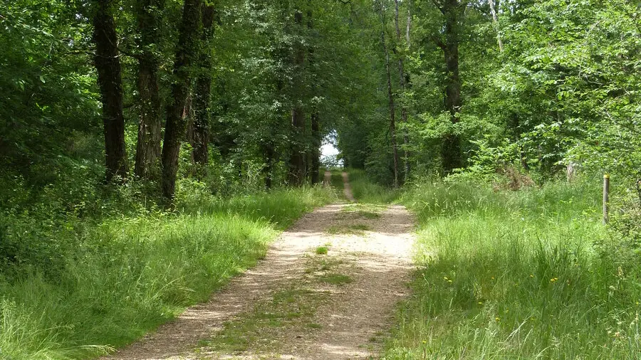 Grand Etang de la Jemaye