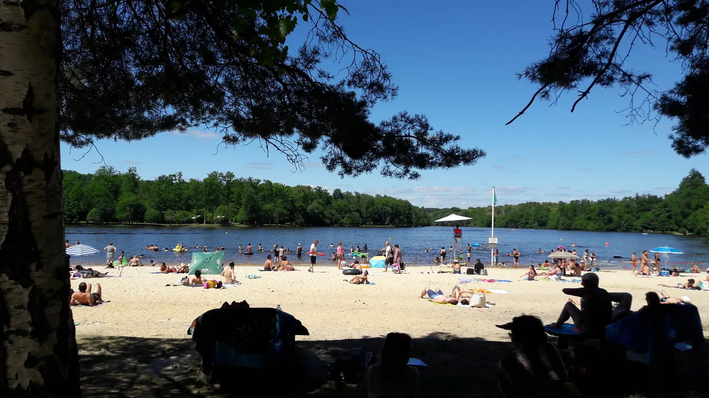 Grand étang St-Estèphe