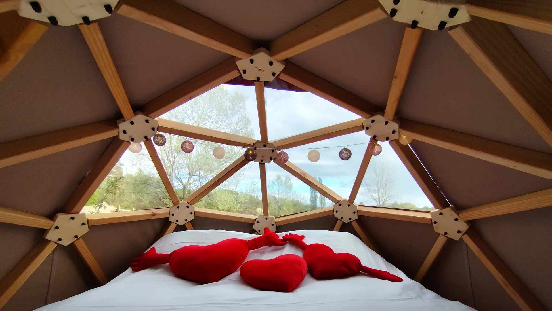 Friendly Camping and Lodges