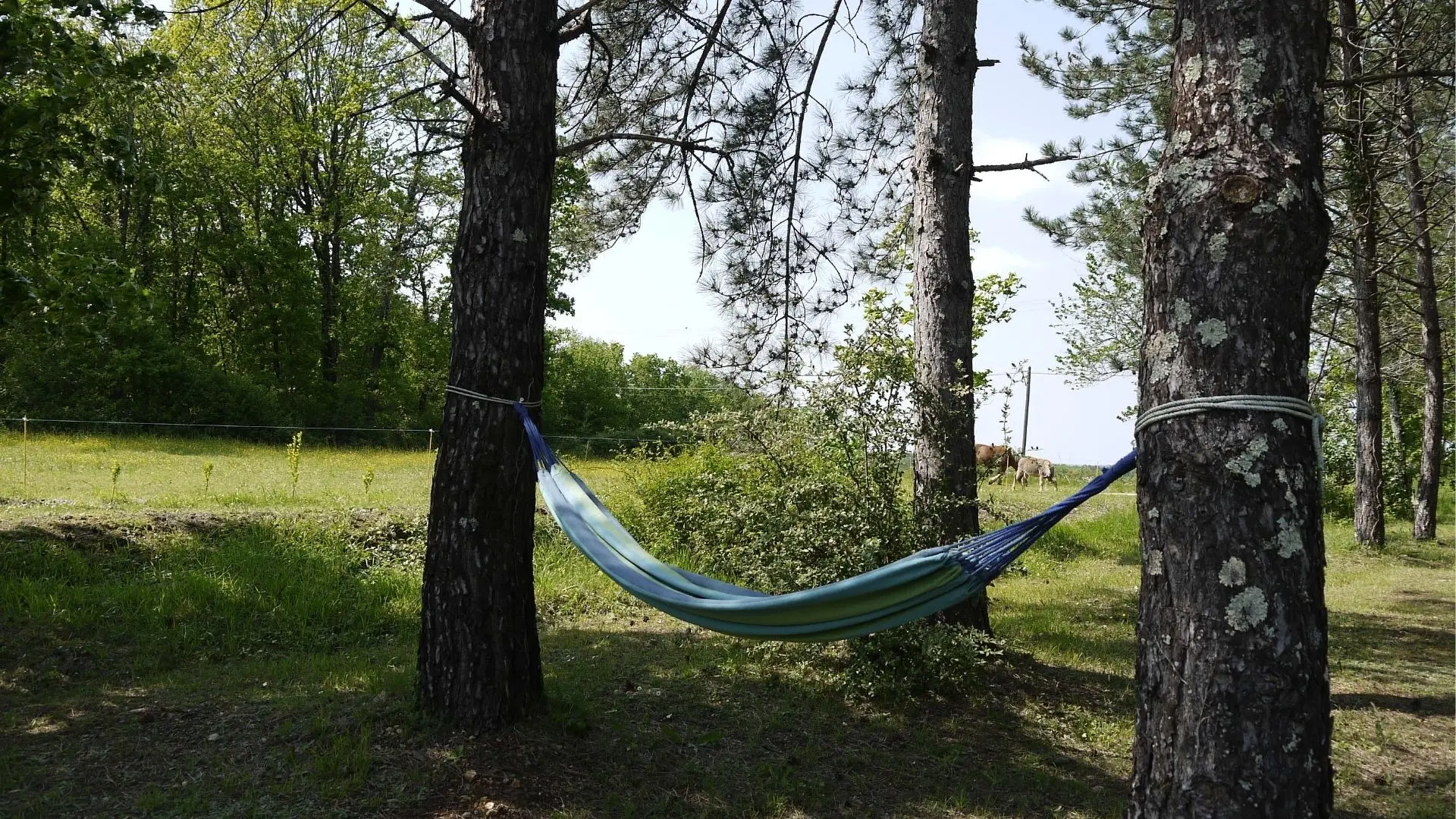 HLO_Gite Lamaurénie_jardin2