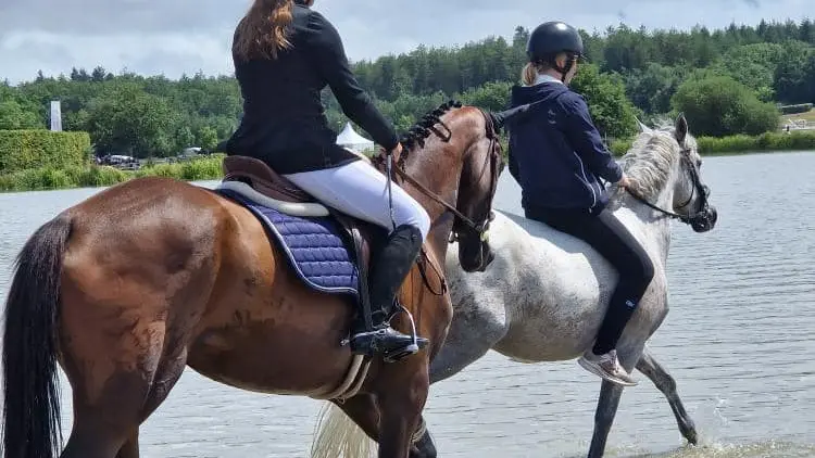 Haras du mas 1