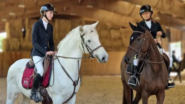 Haras du mas 2