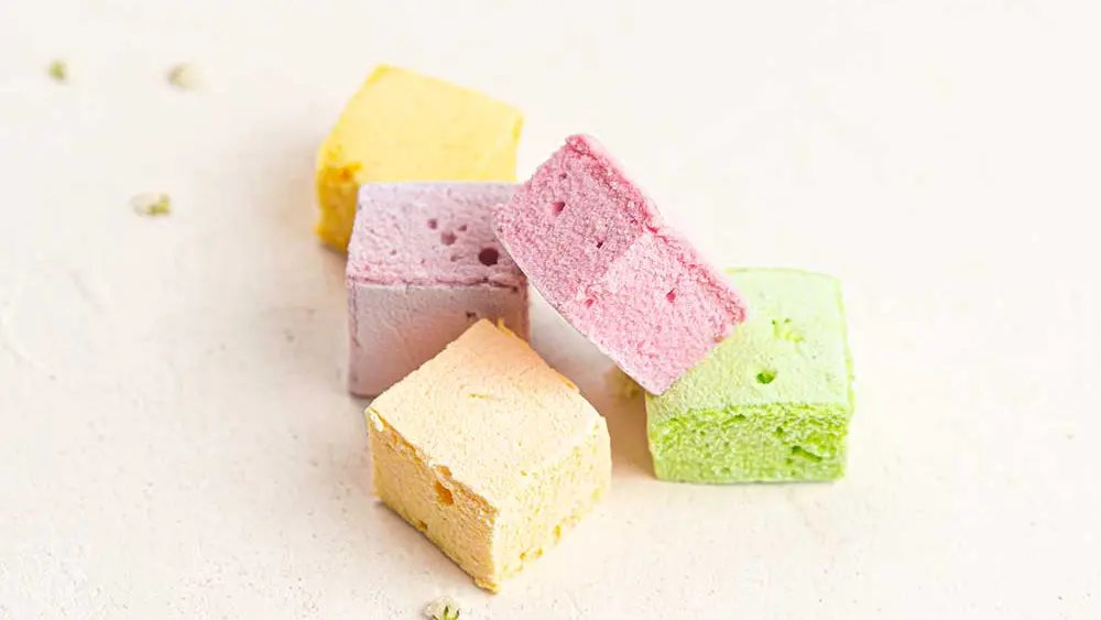 Invitation au Délice - Nojals-et-Clotte