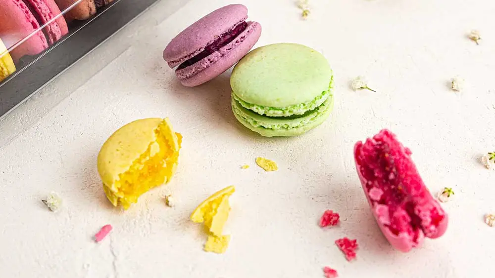 Invitation au Délice - Nojals-et-Clotte