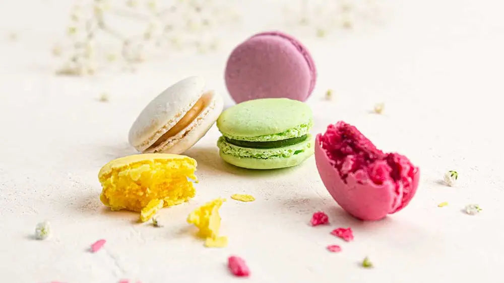 Invitation au Délice - Nojals-et-Clotte