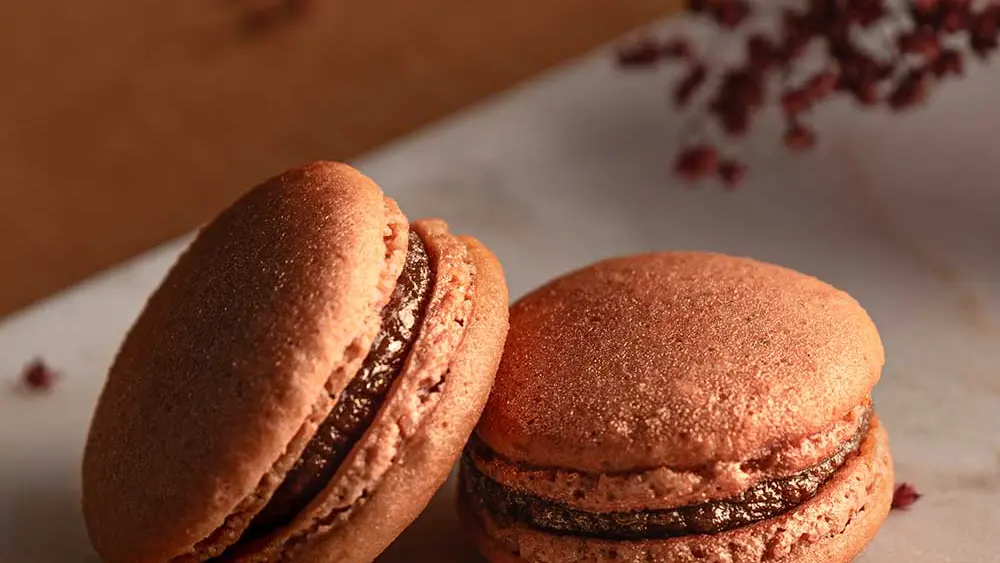 Invitation au Délice - Nojals-et-Clotte