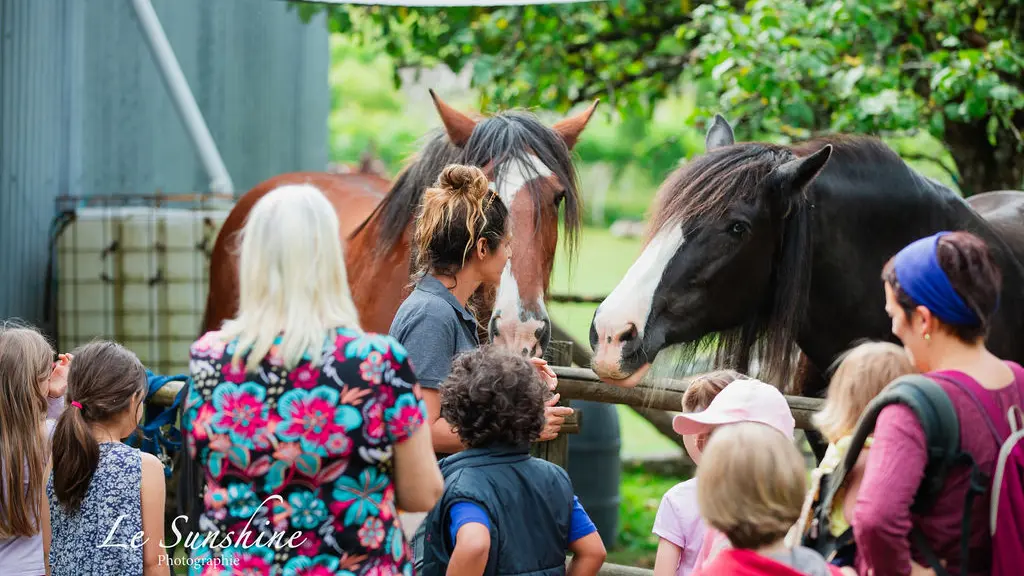 Puy Jaillant Family Farm