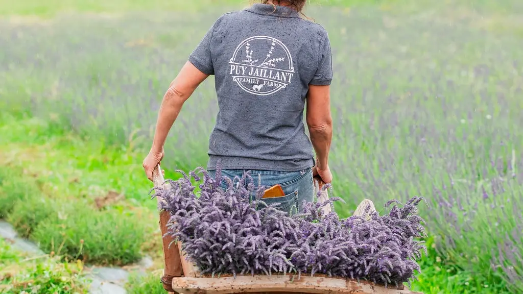 Puy Jaillant Family Farm