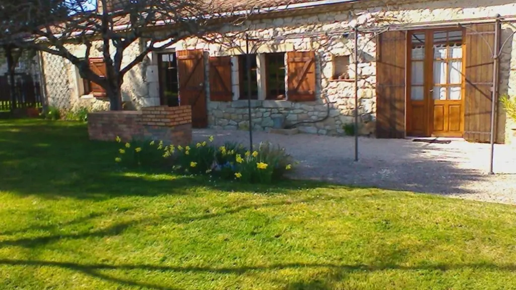 IMG_10 Les hortensias 2