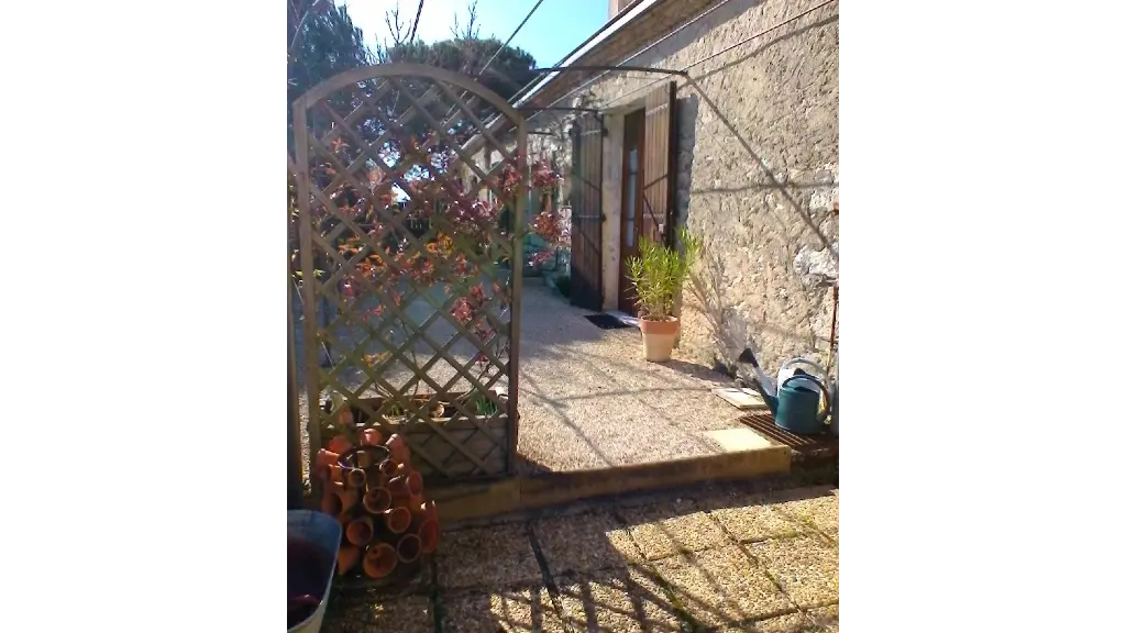 IMG_11 les hortensias