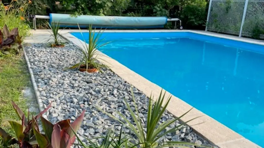 IMG_1985 (1)-fotor-20260204144230