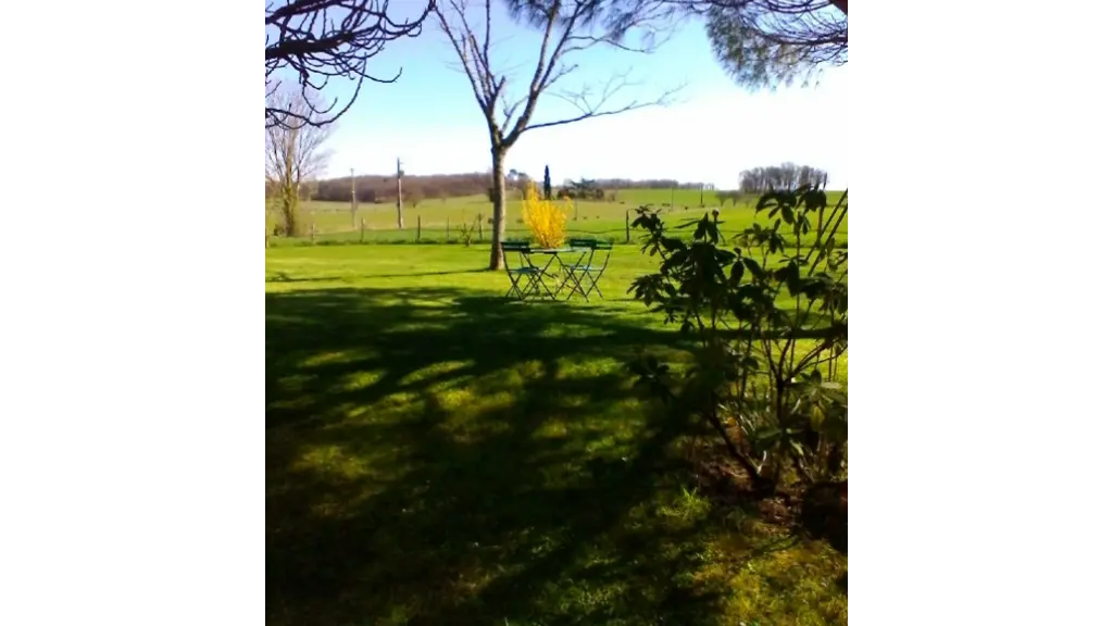 IMG_2 Les hortensias