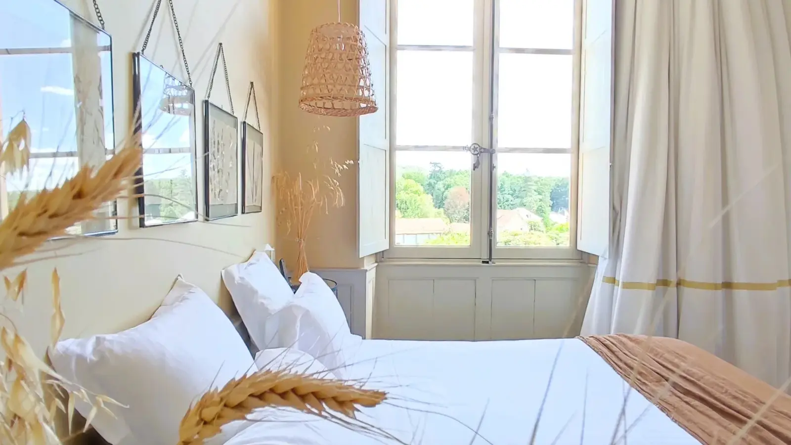 IMG_20240708_123523 2 2