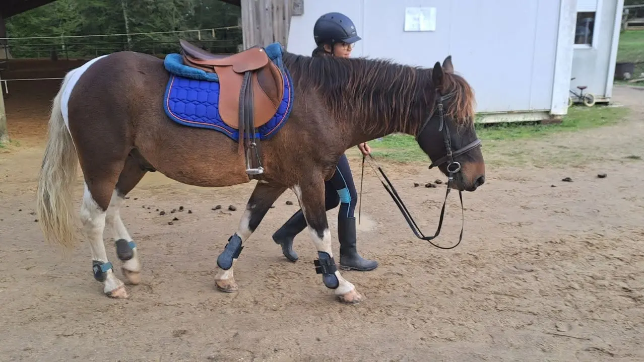 Centre cheval Poney St Antoine d'Auberoche
