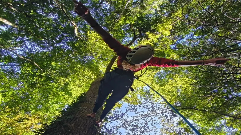 Les Ecureuils sur cordes