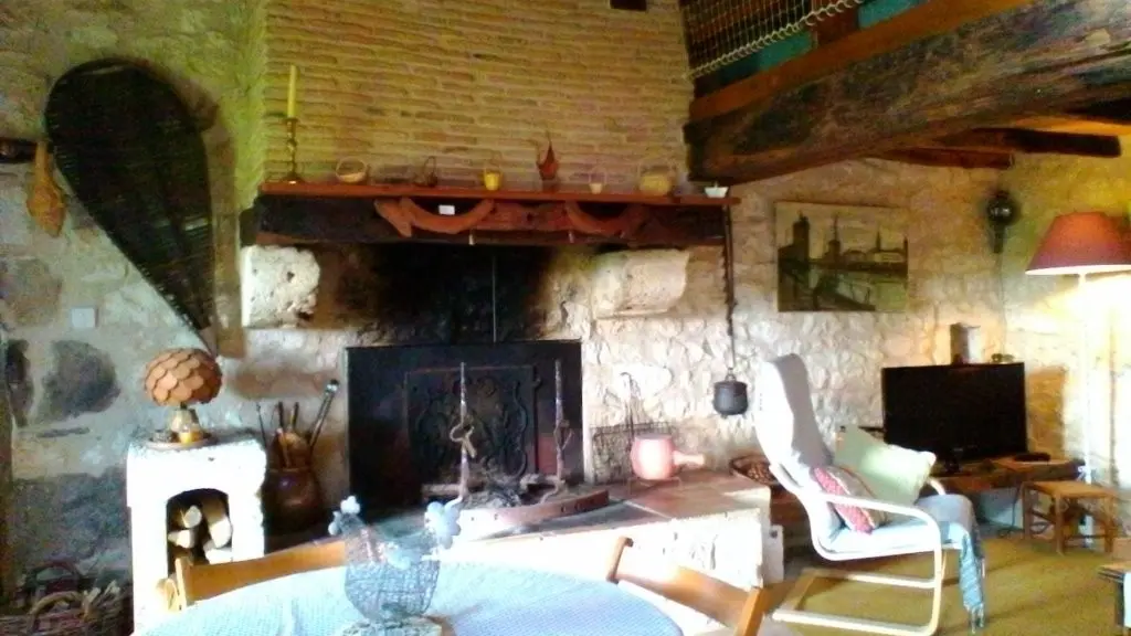 IMG_4 Les hortensias