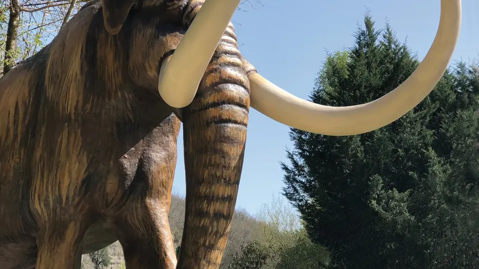 IMG_4071-ret - copie