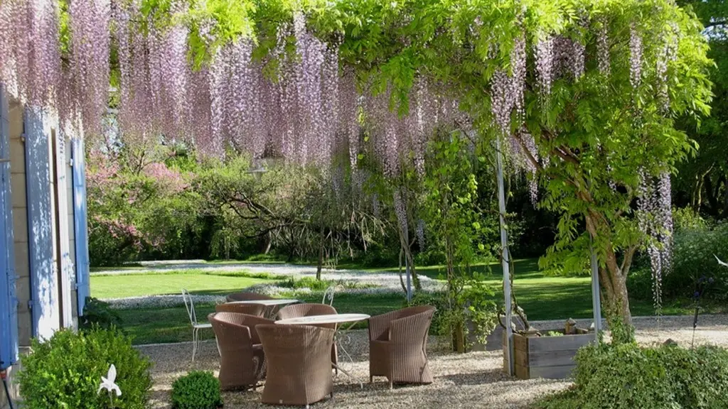 IMG_5 Château Gauthié