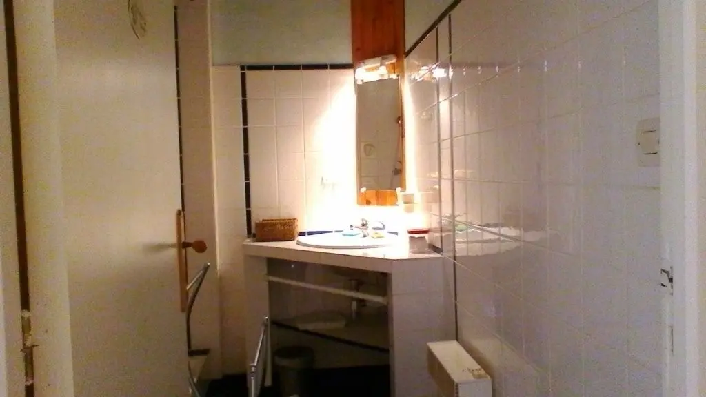 IMG_6 Les hortensias