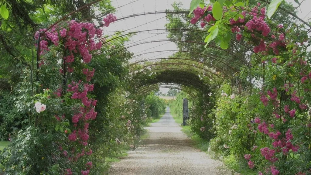 IMG_7 Château Gauthié