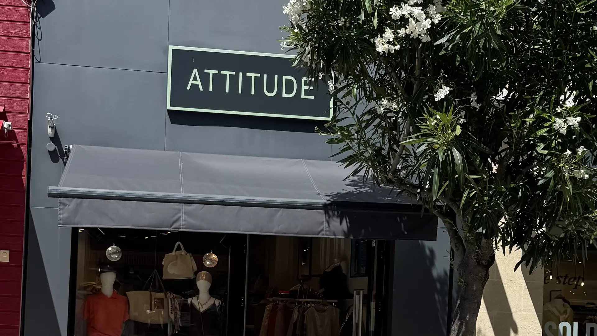 Attitude