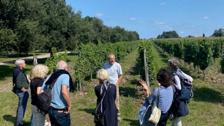 visite vignoble