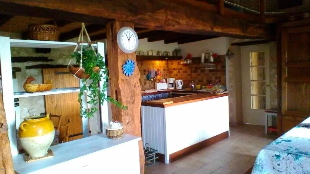 IMG_8 Les hortensias