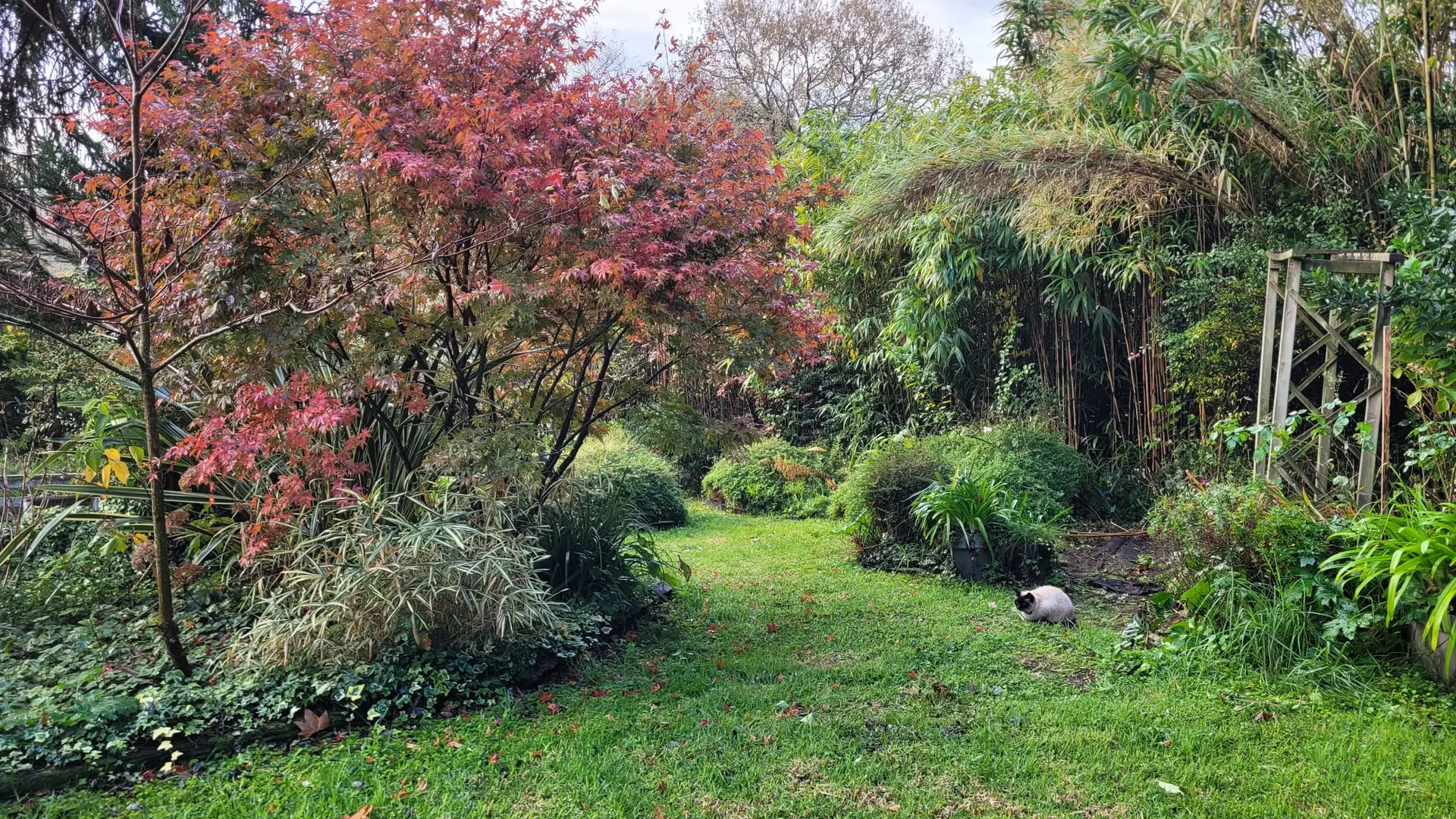 Jardin 2 La Maison des Peintres 2025 ©MMPoisson