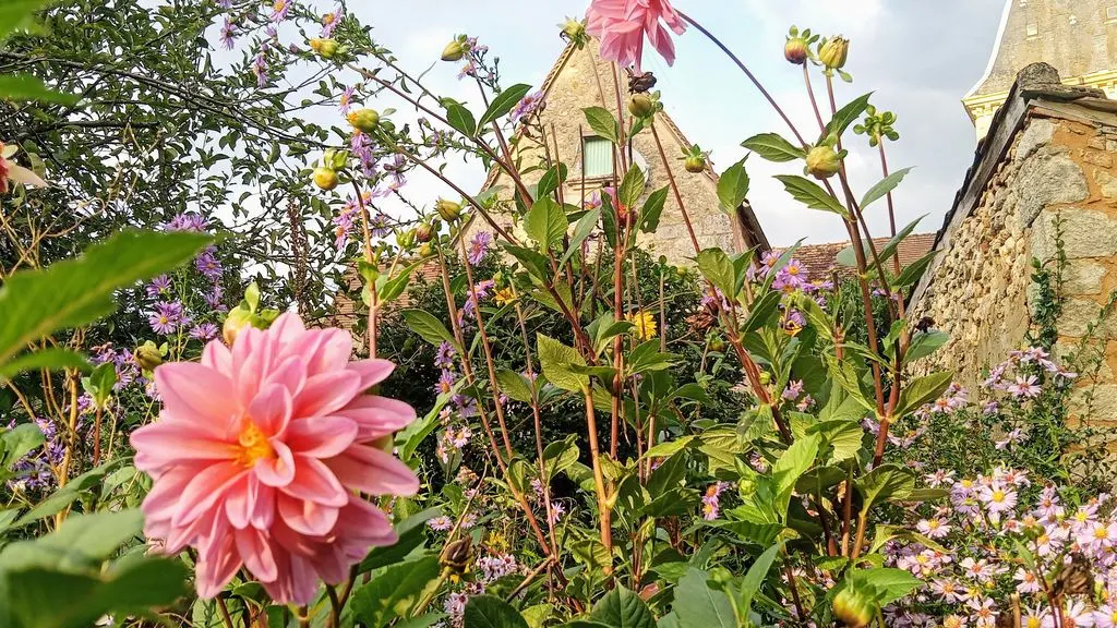 Jardin-Fleurs-Automne-Lamonzie-Montastruc SIRTAQUI