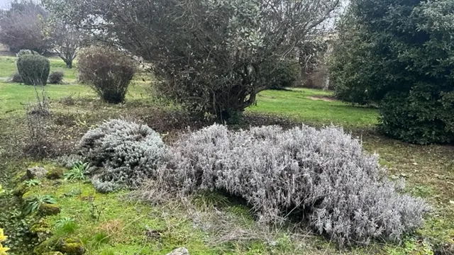 Jardin arriere