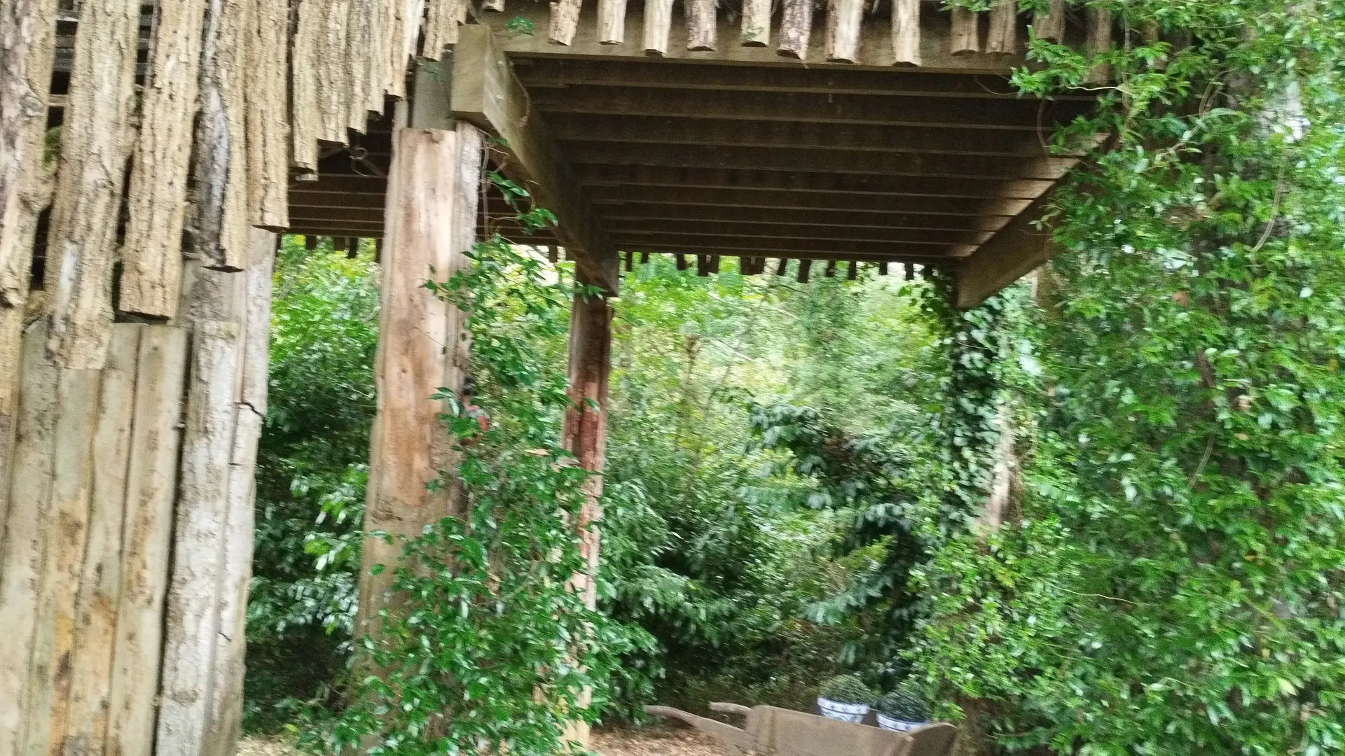 Jardin bas de la cabane Papyjotte 2025 ©Hayet.