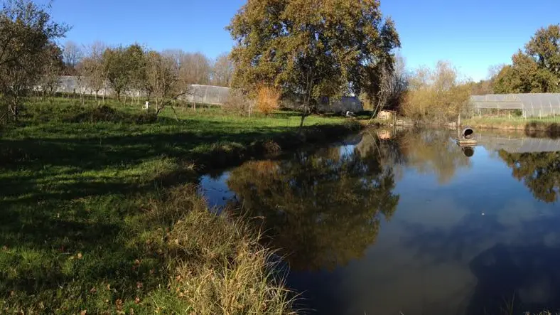 Jardin-bio-St-Martin-Vue-Domaine