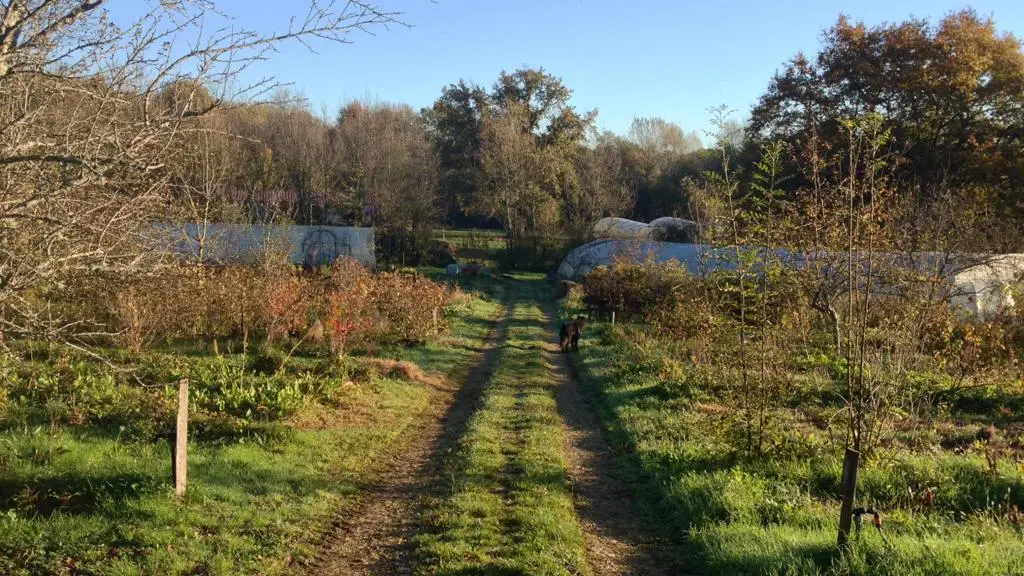Jardin-bio-St-Martin-Vue-propriété