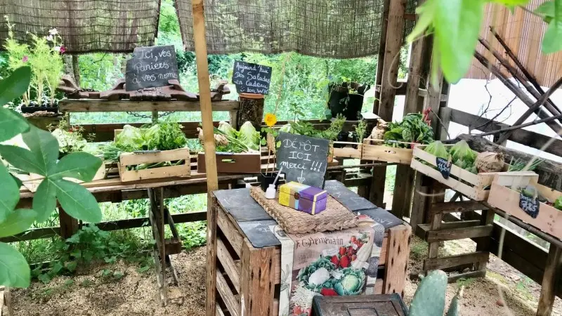 Jardin-des-Merveilles-1