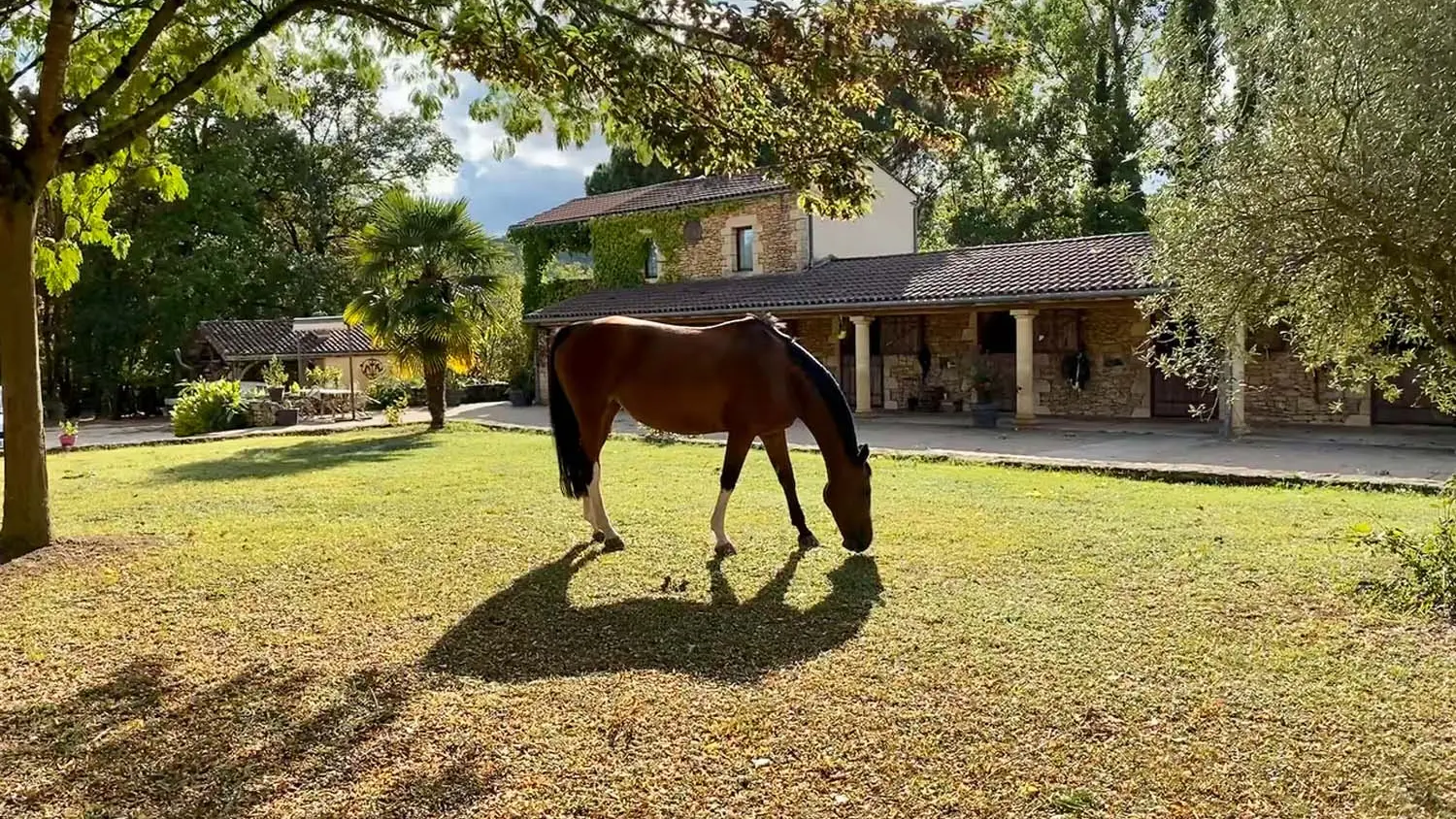 L'Ecurie de l'etrier - Vitrac Sarlat (9)