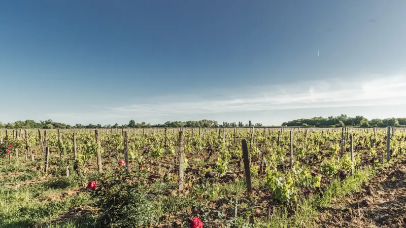 L-Ile-Margaux4