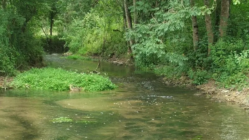 La zone humide du Roc se trouve dans la vallée de l'Euche, cours d'eau de première catégorie piscicole