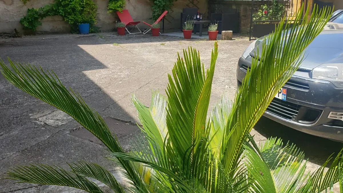 La Boetie a sarlat avec terrasse (1) 2