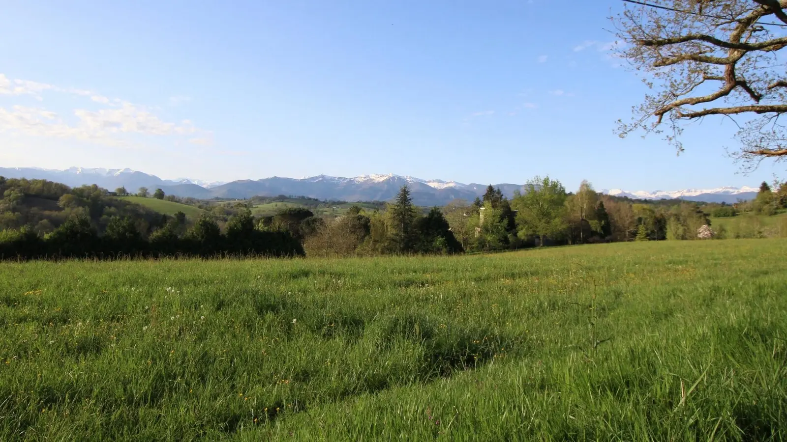 La Borde de Marcelin - Bosdarros - vue