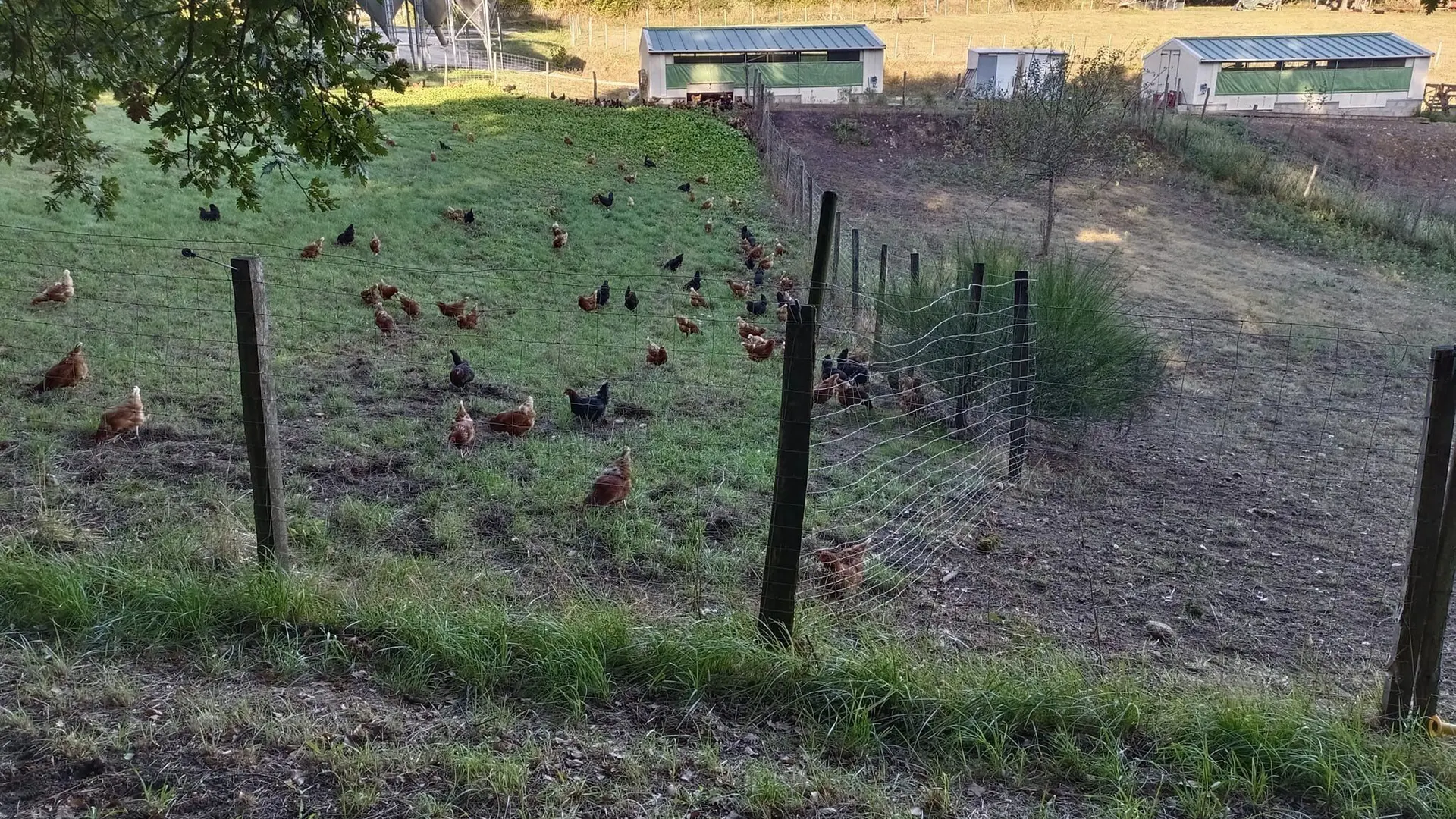 La Ferme d'Enea (1)