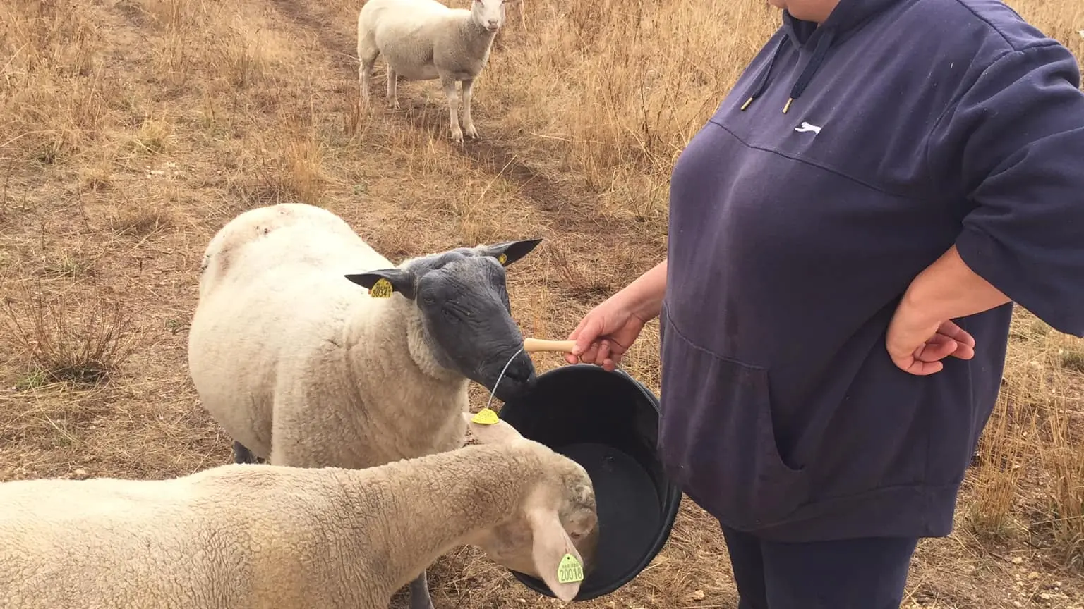 La Ferme du bon sens 2