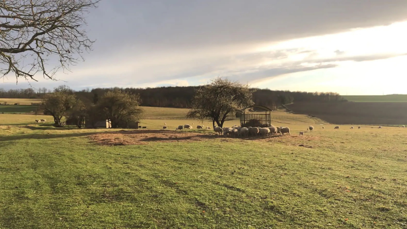 La Ferme du bon sens 3