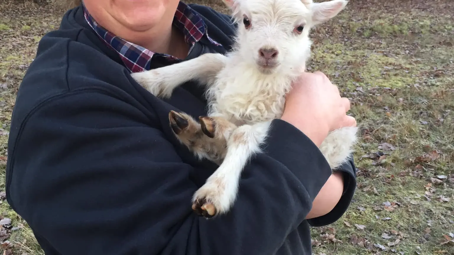 La Ferme du bon sens
