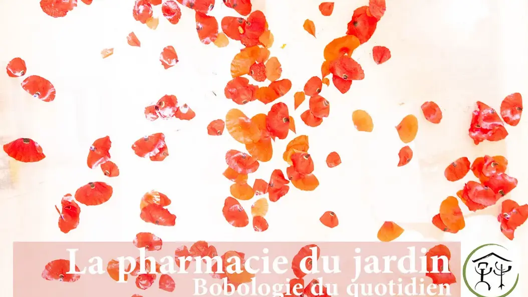 La pharmacie du jardin