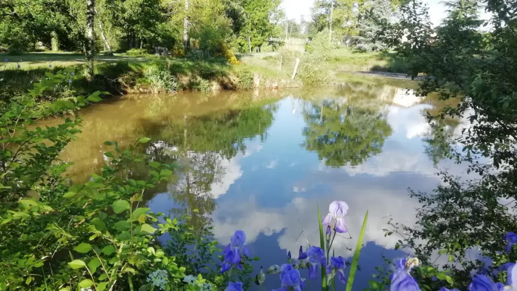 Larqué - Vanxains (Le Poulailler) (2)