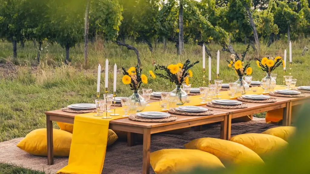 Le temps d'un pic nic vignoble Bergerac et Duras