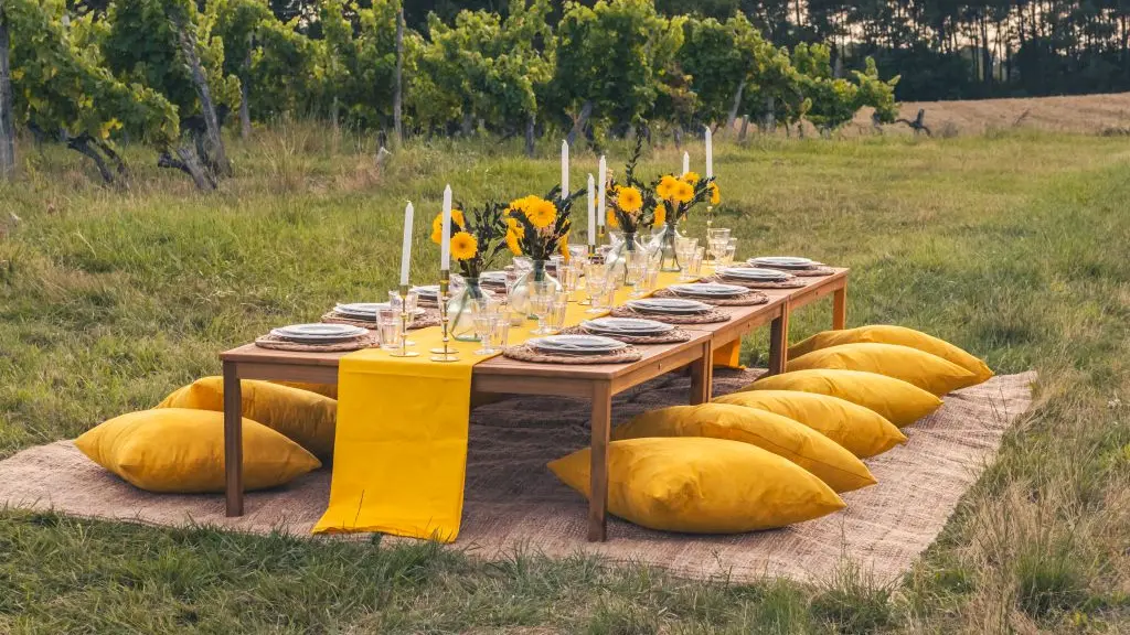 Le temps d'un pic nic activité insolite et originale