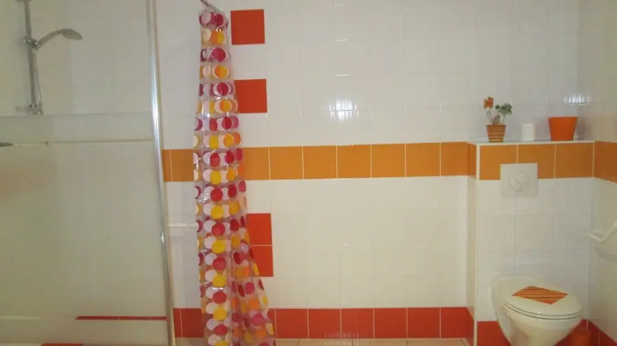 Le Moulin du Treuil - La Roue  (5)